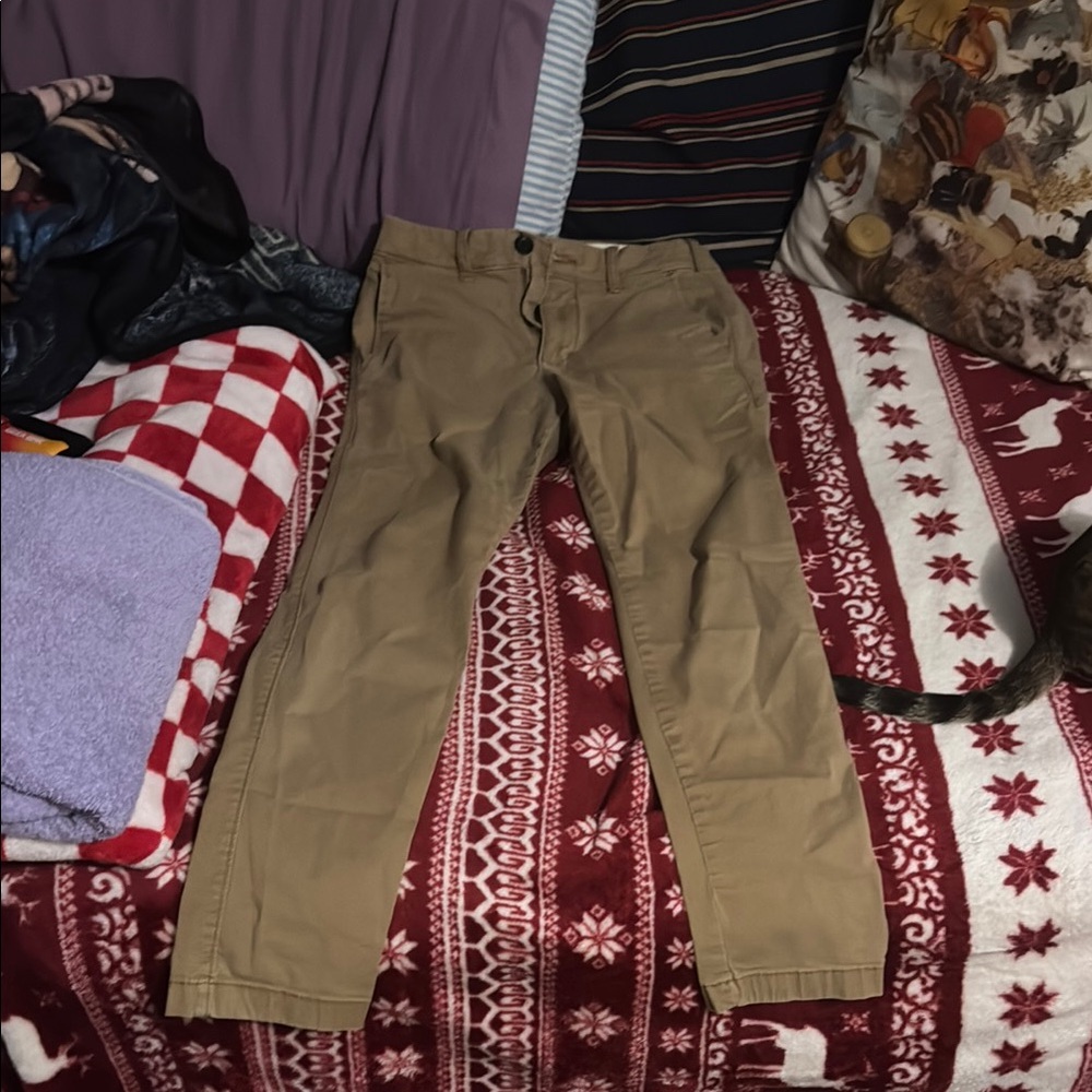 Hollister Tan Chino Pants Classic Straight-Leg